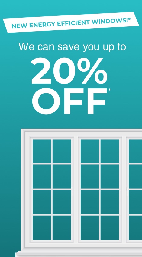 Expert Window